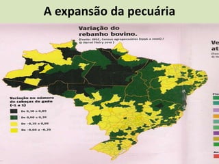 A expansão da pecuária
 