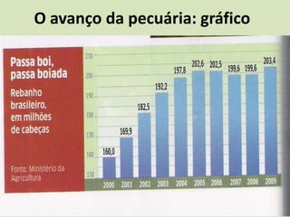 O avanço da pecuária: gráfico
 