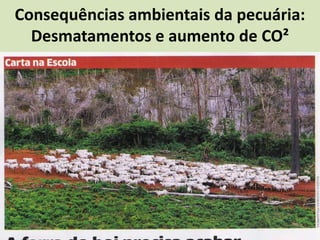 Consequências ambientais da pecuária:
Desmatamentos e aumento de CO²
 