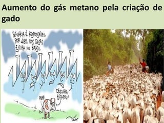 Aumento do gás metano pela criação de
gado
 
