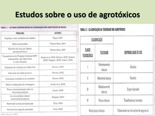 Estudos sobre o uso de agrotóxicos
 