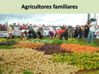 Agricultores familiares
 