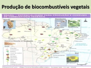 Produção de biocombustíveis vegetais
 