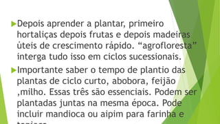 Depois aprender a plantar, primeiro
hortaliças depois frutas e depois madeiras
úteis de crescimento rápido. “agrofloresta”
interga tudo isso em ciclos sucessionais.
Importante saber o tempo de plantio das
plantas de ciclo curto, abobora, feijão
,milho. Essas três são essenciais. Podem ser
plantadas juntas na mesma época. Pode
incluir mandioca ou aipim para farinha e
 