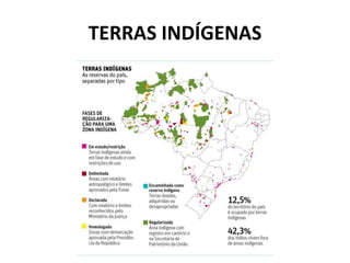 TERRAS INDÍGENAS
 