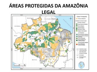 ÁREAS PROTEGIDAS DA AMAZÔNIA
LEGAL
 