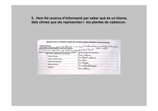 5. Hem fet recerca d’informació per saber què és un bioma,
dels climes que els representen i les plantes de cadascun.
 