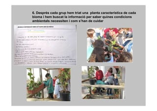 6. Després cada grup hem triat una planta característica de cada
bioma i hem buscat la informació per saber quines condicions
ambientals necessiten i com s’han de cuidar
 