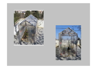 Aquest trimestre hem fet