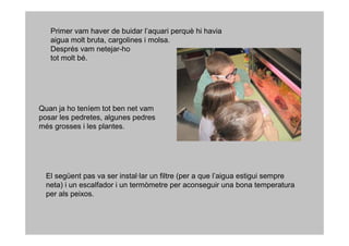Primer vam haver de buidar l’aquari perquè hi havia
   aigua molt bruta, cargolines i molsa.
   Després vam netejar-ho
   tot molt bé.




Quan ja ho teníem tot ben net vam
posar les pedretes, algunes pedres
més grosses i les plantes.




  El següent pas va ser instal·lar un filtre (per a que l’aigua estigui sempre
  neta) i un escalfador i un termòmetre per aconseguir una bona temperatura
  per als peixos.
 