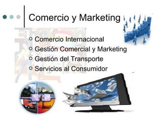 Comercio y Marketing Comercio Internacional Gestión Comercial y Marketing Gestión del Transporte Servicios al Consumidor 