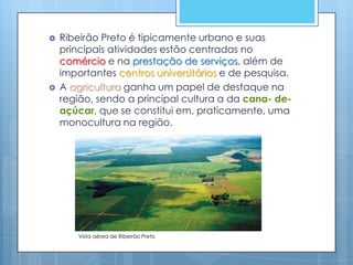   Ribeirão Preto é tipicamente urbano e suas
    principais atividades estão centradas no
    comércio e na prestação de serviços, além de
    importantes centros universitários e de pesquisa.
   A agricultura ganha um papel de destaque na
    região, sendo a principal cultura a da cana- de-
    açúcar, que se constitui em, praticamente, uma
    monocultura na região.




        Vista aérea de Ribeirão Preto
 