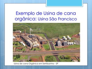 Exemplo de Usina de cana
orgânica: Usina São Francisco




Usina de cana Orgânica em Sertãozinho - SP
 
