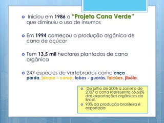    Iniciou em 1986 o “Projeto Cana Verde”
    que diminuiu o uso de insumos

   Em 1994 começou a produção orgânica de
    cana de açúcar

   Tem 13,5 mil hectares plantados de cana
    orgânica

   247 espécies de vertebrados como onça
    parda, jacaré – coroa, lobos - guarás, falcões, jibóia.

                                 De julho de 2006 a Janeiro de
                                  2007 a cana representa 66,68%
                                  das exportações orgânicas do
                                  Brasil.
                                 90% da produção brasileira é
                                  exportada
 