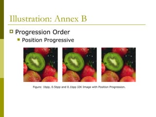 Illustration: Annex B
 Progression Order
 Position Progressive
Figure: 1bpp, 0.5bpp and 0.1bpp J2K Image with Position Progression.
 