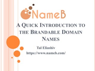 A QUICK INTRODUCTION TO
THE BRANDABLE DOMAIN
NAMES
Tal Eliashiv
https://www.nameb.com/
Na
 