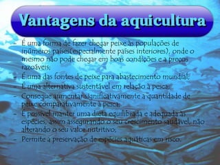 - É uma forma de fazer chegar peixe às populações de
inúmeros países(especialmente países interiores), onde o
mesmo não pode chegar em boas condições e a preços
razoáveis;
- É uma das fontes de peixe para abastecimento mundial;
- É uma alternativa sustentável em relação à pesca;
- Consegue aumentar significativamente a quantidade de
peixe comparativamente à pesca;
- É possível manter uma dieta equilibrada e adequada às
espécies, assim assegurando o seu crescimento saudável, não
alterando o seu valor nutritivo;
- Permite a preservação de espécies aquáticas em risco.

 