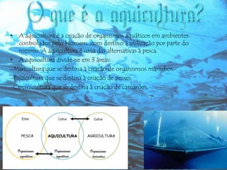 • A aquicultura é a criação de organismos aquáticos em ambientes
controlados pelo Homem, com destino à utilização por parte do
mesmo. A aquicultura é uma das alternativas à pesca.
• A aquicultura divide-se em 3 áreas:
-Maricultura que se destina à criação de organismos marinhos.
-Piscicultura que se destina à criação de peixes.
-Carcinicultura que se destina à criação de camarões.

 