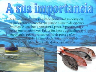• A aquicultura é uma actividade de extrema importância
na preservação e criação em grande número de espécies
em risco, é uma boa alternativa à pesca, especialmente a
pescas muito intensivas. Para além disso a aquicultura é
importante, para o abastecimento de peixe a nível
mundial, destinado à alimentação e é uma forma de
manter o equilíbrio ambiental dos oceanos e rios.

 