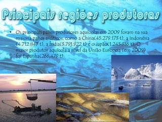 • Os principais países produtores aquícolas em 2009 foram na sua
maioria países asiáticos, como a China(45.279.173 t), a Indonésia
(4.712.847 t), a Índia(3.791.922 t) e o Japão(1.243.336 t). O
maior produtor aquícola a nível da União Europeia (em 2009)
foi Espanha(266.479 t).

 