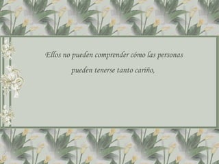 Ellos no pueden comprender cómo las personas
        pueden tenerse tanto cariño,
 
