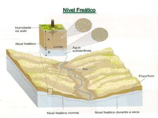 Nível Freático

 