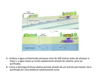 A - Embora a água contaminada atravesse mais de 100 metros antes de alcançar o
Poço 1, a água move-se muito rapidamente através do calcário para ser
purificada;
B - Como a descarga da fossa séptica percola através de um arenito permeável, ela é
purificada em uma distância relativamente curta.

 