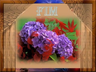 é Aqui mesmo...pps cida