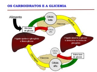 OS CARBOIDRATOS E A GLICEMIA
 