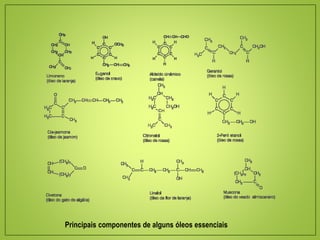 Principais componentes de alguns óleos essenciais
 