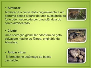 • Almíscar
Almíscar é o nome dado originalmente a um
perfume obtido a partir de uma substância de
forte odor, secretada por uma glândula do
cervo-almiscarado.
• Civete
Uma secreção glandular odorífera do gato
selvagem macho ou fêmea, originário da
Abissínia.
• Âmbar cinza
É formado no estômago da baleia
cachalote.
 