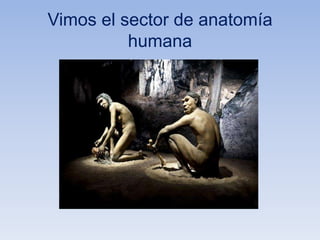 Vimos el sector de anatomía
humana