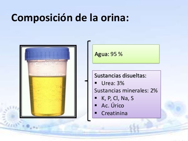 Laboratorio de patología clínica: Citoquímico y bacteriológico de ori…