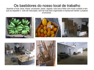 Os bastidores do nosso local de trabalho  Apanhar a fruta, lavar, limpar, encaixotar, pesar, registar; tudo isso é feito com muito cuidado e tem que se respeitar o  ciclo de maturação; sem ter tudo bem organizado é impossível manter o projecto a funcionar . 
