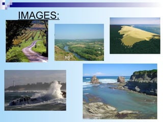 IMAGES: 