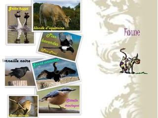 3ème Concours Régional Multimédia de Lublin. Aquitaine 2-Alexandra Sadowska,Lucas Klin-Gim9 Lublin.