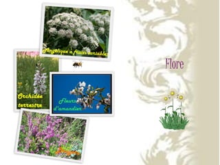 3ème Concours Régional Multimédia de Lublin. Aquitaine 2-Alexandra Sadowska,Lucas Klin-Gim9 Lublin.