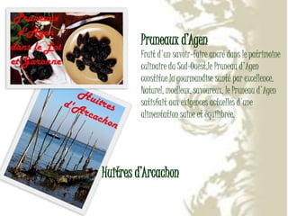 3ème Concours Régional Multimédia de Lublin. Aquitaine 2-Alexandra Sadowska,Lucas Klin-Gim9 Lublin.