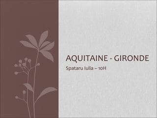 Spataru Iulia – 10H AQUITAINE - GIRONDE 