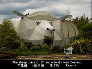 The sheep building  (Tirau, Waikato, New Zealand) 羊建 築   （ 紐 西 蘭   懷 卡托  Tirau  ） 