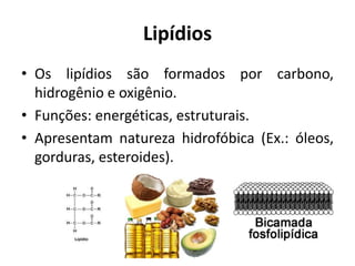 Lipídios
• Os lipídios são formados por carbono,
hidrogênio e oxigênio.
• Funções: energéticas, estruturais.
• Apresentam natureza hidrofóbica (Ex.: óleos,
gorduras, esteroides).
 