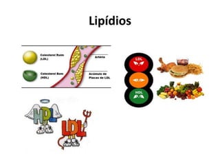 Lipídios
 