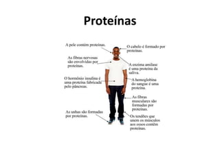 Proteínas
 