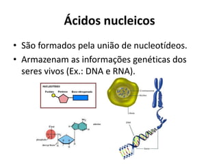 Ácidos nucleicos
• São formados pela união de nucleotídeos.
• Armazenam as informações genéticas dos
seres vivos (Ex.: DNA e RNA).
 