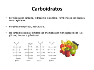 Carboidratos
• Formados por carbono, hidrogênio e oxigênio. Também são conhecidos
como açúcares.
• Funções: energéticas, estruturais.
• Os carboidratos mais simples são chamados de monossacarídeos (Ex.:
glicose, frutose e galactose).
 