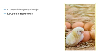 ― 3.1 Diversidade e organização biológica
― 3.2 Células e biomoléculas
 
