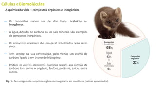 Células e Biomoléculas
― Os compostos podem ser de dois tipos: orgânicos ou
inorgânicos.
― A água, dióxido de carbono ou os sais minerais são exemplos
de compostos inorgânicos.
― Os compostos orgânicos são, em geral, sintetizados pelos seres
vivos.
― Tem sempre na sua constituição, pelo menos um átomo de
carbono ligado a um átomo de hidrogénio.
― Podem ter outros elementos químicos ligados aos átomos de
carbono tais como o oxigénio, fosforo, potássio, cálcio, entre
outros.
A química da vida – compostos orgânicos e inorgânicos
Fig. 1 - Percentagem de compostos orgânicos e inorgânicos em mamíferos (valores aproximados).
 