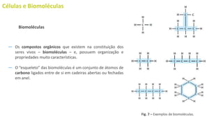 Células e Biomoléculas
― Os compostos orgânicos que existem na constituição dos
seres vivos – biomoléculas – e, possuem organização e
propriedades muito características.
― O “esqueleto” das biomoléculas é um conjunto de átomos de
carbono ligados entre de si em cadeiras abertas ou fechadas
em anel.
Biomoléculas
Fig. 7 – Exemplos de biomoléculas.
 