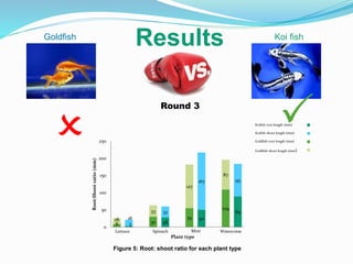Aquaculture and Aquaponics: Going back to basics | PDF