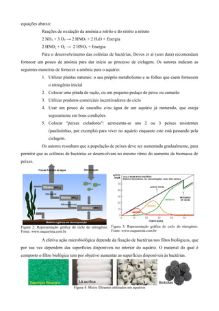 equações abaixo:
Reações de oxidação da amônia a nitrito e do nitrito a nitrato
2 NH3 + 3 O2 → 2 HNO2 + 2 H2O + Energia
2 HNO2 + O2 → 2 HNO3 + Energia
Para o desenvolvimento das colônias de bactérias, Devos et al (sem data) recomendam
fornecer um pouco de amônia para dar início ao processo de ciclagem. Os autores indicam as
seguintes maneiras de fornecer a amônia para o aquário:
1. Utilizar plantas naturais: o seu próprio metabolismo e as folhas que caem fornecem
o nitrogênio inicial
2. Colocar uma pitada de ração, ou um pequeno pedaço de peixe ou camarão
3. Utilizar produtos comerciais incentivadores do ciclo
4. Usar um pouco de cascalho e/ou água de um aquário já maturado, que esteja
seguramente em boas condições.
5. Colocar "peixes cicladores": acrescenta-se uns 2 ou 3 peixes resistentes
(paulistinhas, por exemplo) para viver no aquário enquanto este está passando pela
ciclagem.
Os autores ressaltam que a população de peixes deve ser aumentada gradualmente, para
permitir que as colônias de bactérias se desenvolvam no mesmo ritmo do aumento da biomassa de
peixes.
Figura 2: Representação gráfica do ciclo do nitrogênio.
Fonte: www.oaquarista.com.br
Figura 3: Representação gráfica do ciclo do nitrogênio.
Fonte: www.oaquarista.com.br
A efetiva ação microbiológica depende da fixação de bactérias nos filtos biológicos, que
por sua vez dependem das superfícies disponíveis no interior do aquário. O material do qual é
composto o filtro biológico tem por objetivo aumentar as superfícies disponíveis às bactérias.
Esponjas filtrantes Lã acrílica Siporax Biobolas
Figura 4: Meios filtrantes utilizados em aquários
 